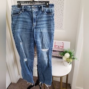 Kut From The Kloth Reese Ankle Straight Leg Jeans